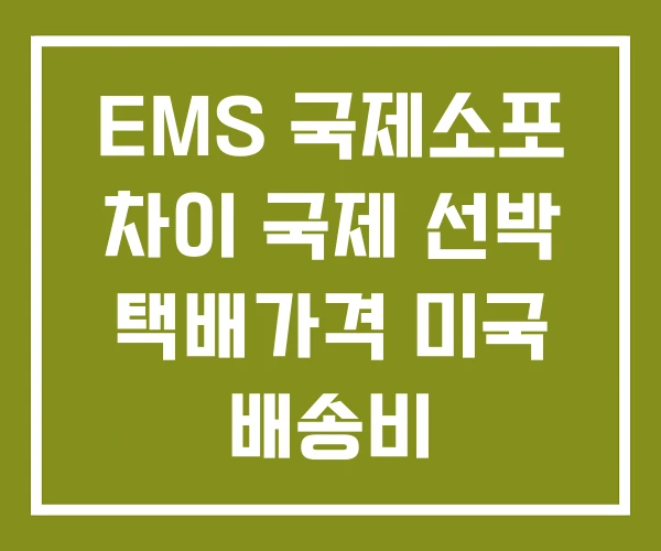 EMS 국제소포 차이 국제 선박 택배가격 미국 배송비
