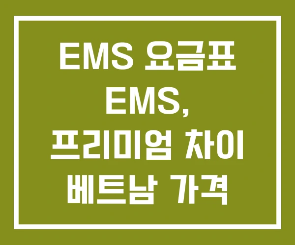 EMS 요금표 EMS, 프리미엄 차이 베트남 가격