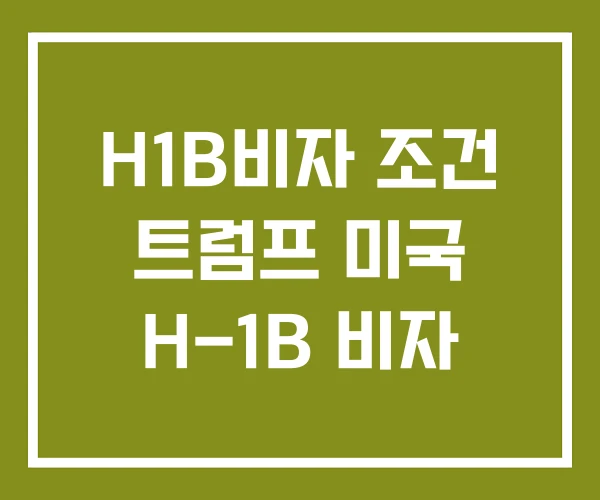 H1B비자 조건 트럼프 미국 H-1B 비자