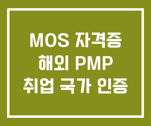 MOS 자격증 해외 PMP 취업 국가 인증
