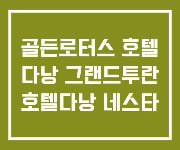 골든로터스 호텔 다낭 그랜드투란 호텔다낭 네스타 골든로터스 호텔 다낭 그랜드투란 호텔다낭 네스타