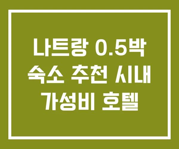 나트랑 0.5박 숙소 추천 시내 가성비 호텔