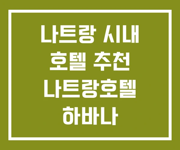 나트랑 시내 호텔 추천 나트랑호텔 하바나 나트랑 시내 호텔 추천 나트랑호텔 하바나