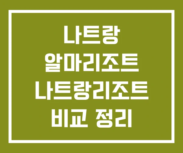 나트랑 알마리조트 나트랑리조트 비교 정리 나트랑 알마리조트 나트랑리조트 비교 정리