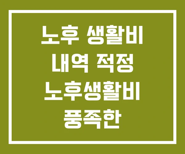 노후 생활비 내역 적정 노후생활비 풍족한