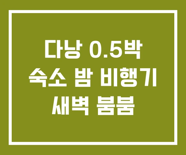 다낭 0.5박 숙소 밤 비행기 새벽 붐붐 다낭 0.5박 숙소 밤 비행기 새벽 붐붐