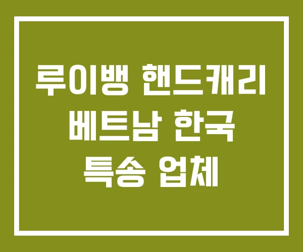 루이뱅 핸드캐리 베트남 한국 특송 업체
