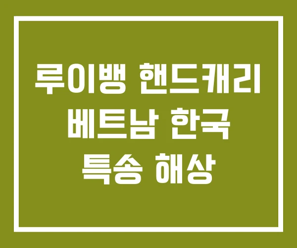 루이뱅 핸드캐리 베트남 한국 특송 해상