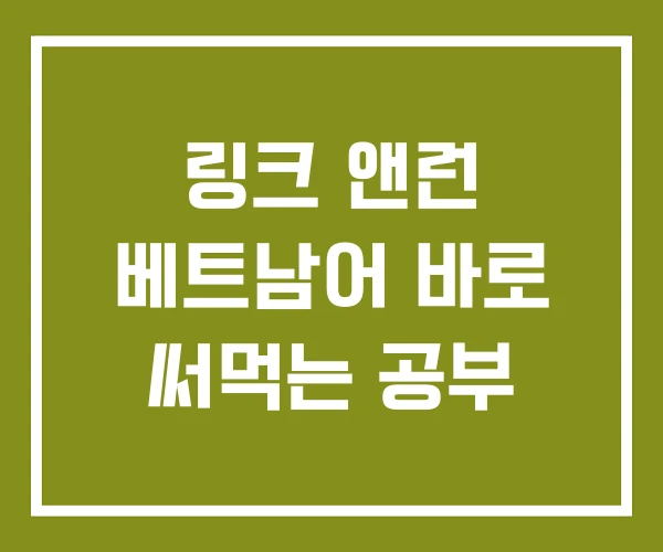 링크 앤런 베트남어 바로 써먹는 공부 링크 앤런 베트남어 바로 써먹는 공부