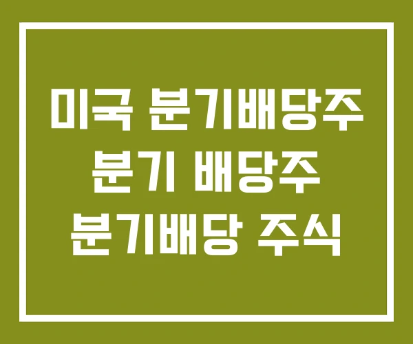 미국 분기배당주 분기 배당주 분기배당 주식 미국 분기배당주 분기 배당주 분기배당 주식