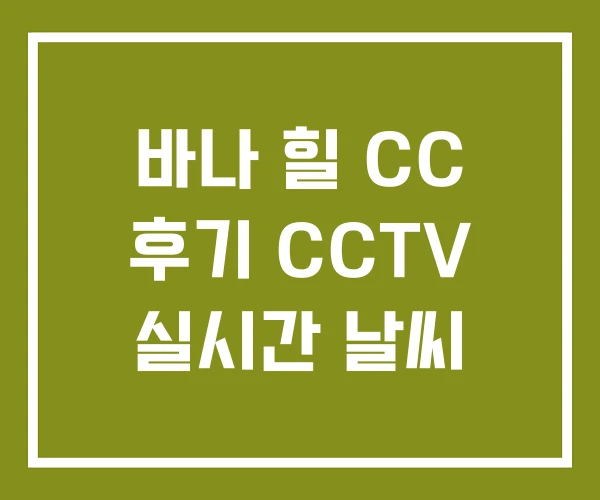 바나 힐 CC 후기 CCTV 실시간 날씨 바나 힐 CC 후기 CCTV 실시간 날씨