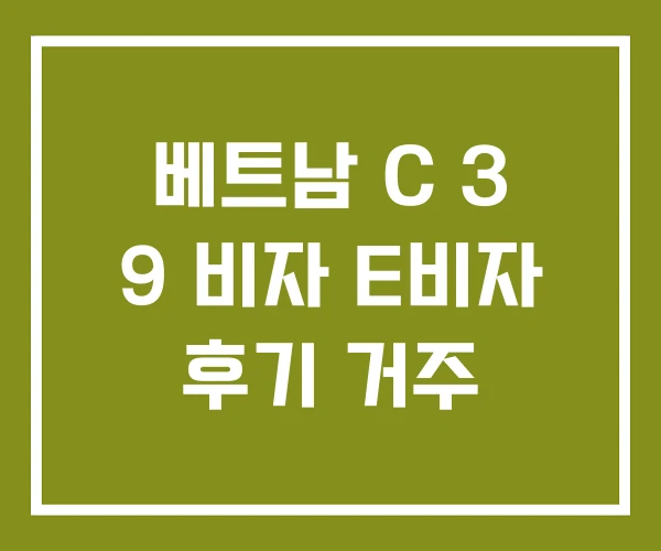 베트남 C 3 9 비자 E비자 후기 거주