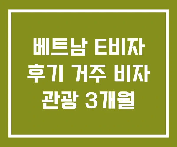베트남 E비자 후기 거주 비자 관광 3개월