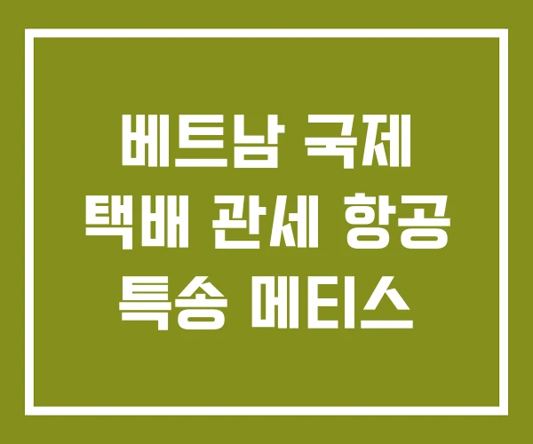 베트남 국제 택배 관세 항공 특송 메티스
