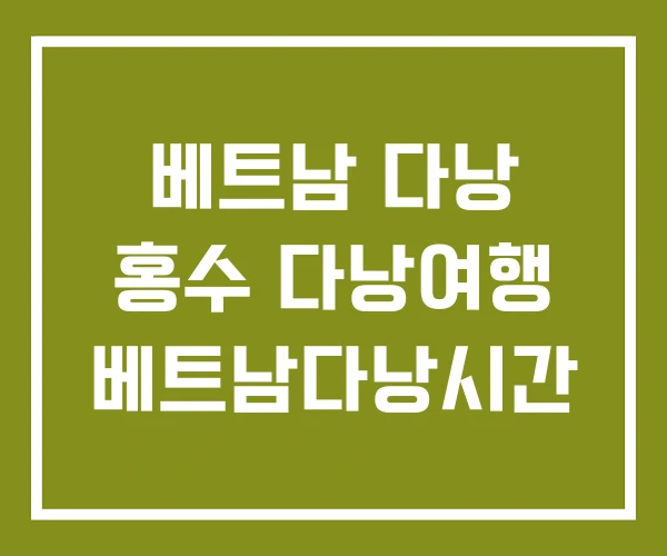 베트남 다낭 홍수 다낭여행 베트남다낭시간