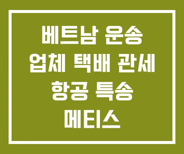 베트남 운송 업체 택배 관세 항공 특송 메티스