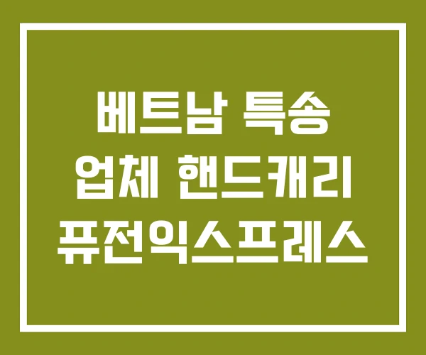 베트남 특송 업체 핸드캐리 퓨전익스프레스