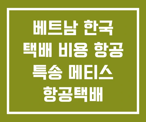 베트남 한국 택배 비용 항공 특송 메티스 항공택배