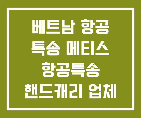 베트남 항공 특송 메티스 항공특송 핸드캐리 업체