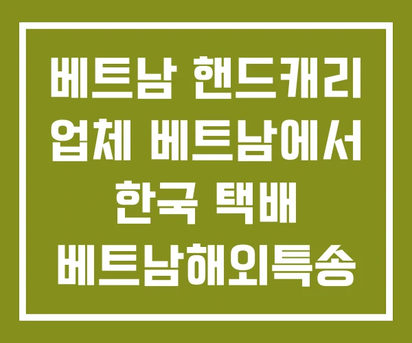 베트남 핸드캐리 업체 베트남에서 한국 택배 베트남해외특송