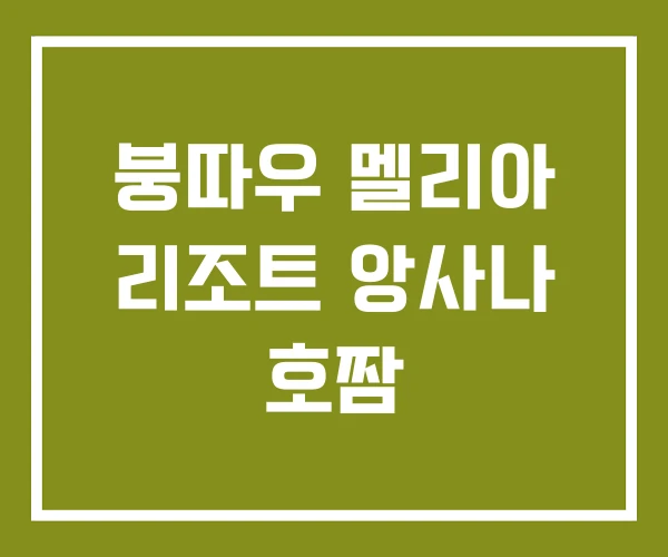 붕따우 멜리아 리조트 앙사나 호짬