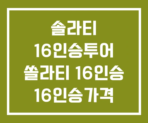솔라티 16인승투어 쏠라티 16인승 16인승가격