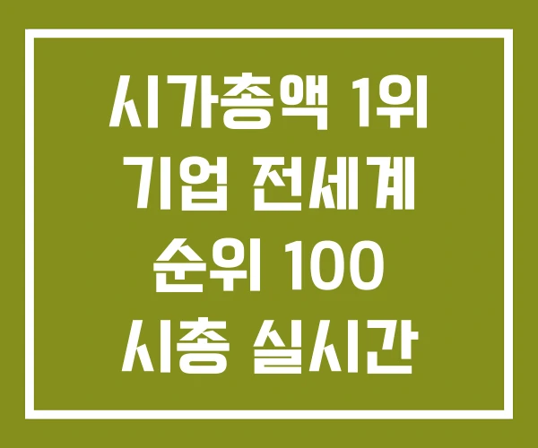시가총액 1위 기업 전세계 순위 100 시총 실시간