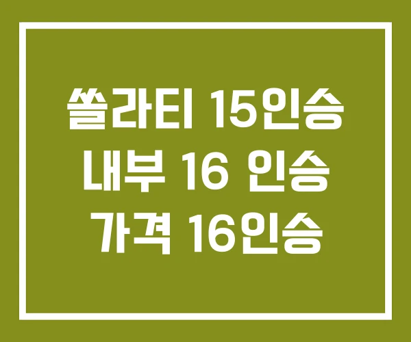 쏠라티 15인승 내부 16 인승 가격 16인승 쏠라티 15인승 내부 16 인승 가격 16인승