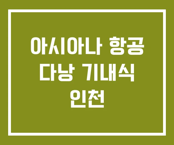 아시아나 항공 다낭 기내식 인천