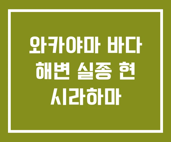 와카야마 바다 해변 실종 현 시라하마 와카야마 바다 해변 실종 현 시라하마