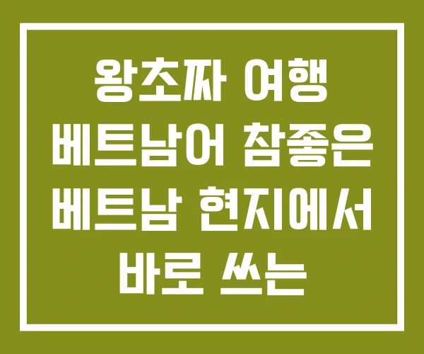 왕초짜 여행 베트남어 참좋은 베트남 현지에서 바로 쓰는 시원스쿨