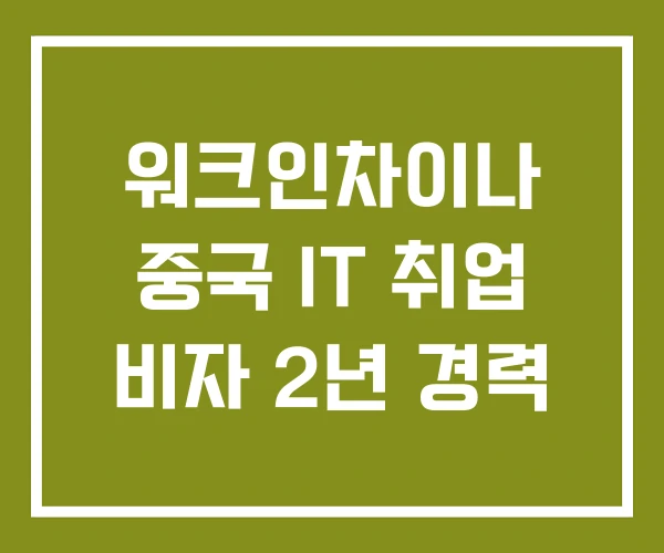 워크인차이나 중국 IT 취업 비자 2년 경력