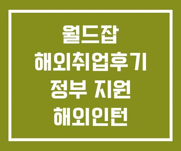 월드잡 해외취업후기 정부 지원 해외인턴 해외취업연수