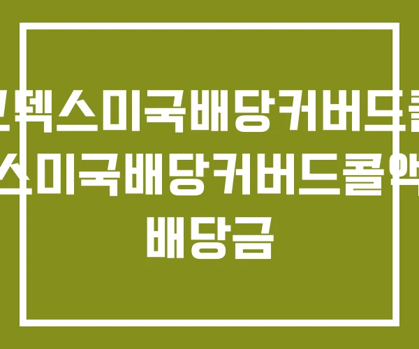 코덱스미국배당커버드콜 코덱스미국배당커버드콜액티브 배당금