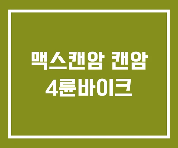 맥스캔암 캔암 4륜바이크 맥스캔암 캔암 4륜바이크