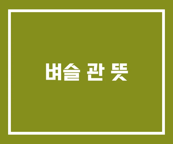 벼슬 관 뜻 벼슬 관 뜻