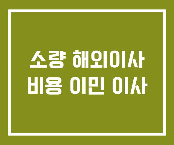 소량 해외이사 비용 이민 이사