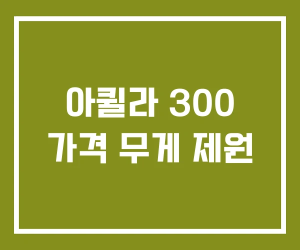 아퀼라 300 가격 무게 제원 아퀼라 300 가격 무게 제원