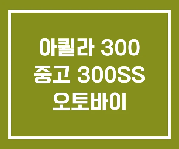 아퀼라 300 중고 300SS 오토바이 아퀼라 300 중고 300SS 오토바이