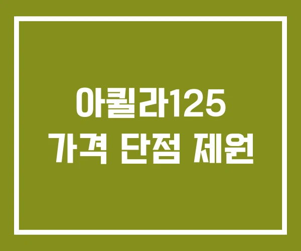 아퀼라125 가격 단점 제원