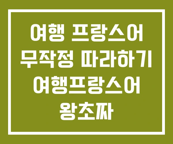 여행 프랑스어 무작정 따라하기 여행프랑스어 왕초짜 여행 프랑스어 무작정 따라하기 여행프랑스어 왕초짜