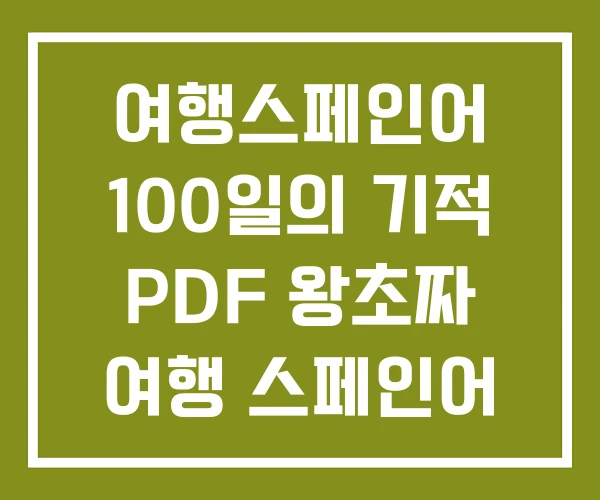 여행스페인어 100일의 기적 PDF 왕초짜 여행 스페인어